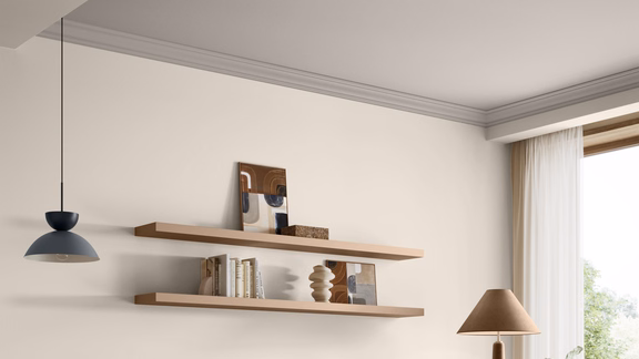 Salon plafond blanc