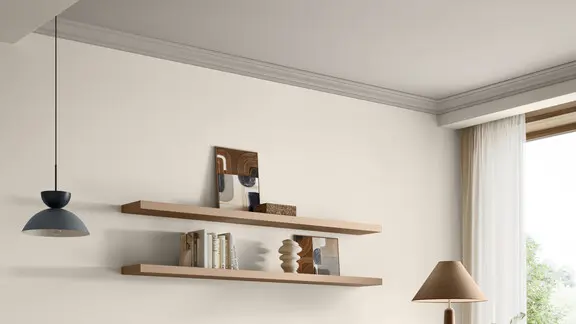 Salon plafond blanc