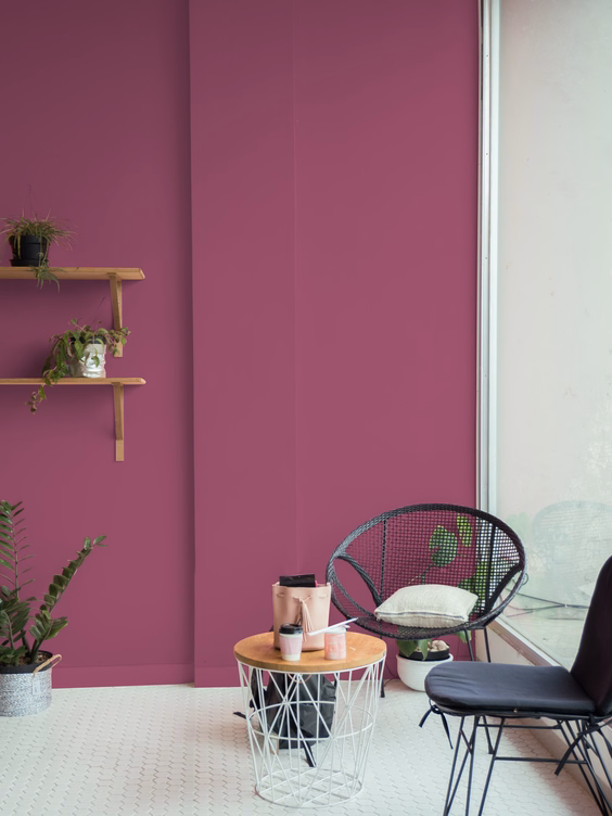 Le style Jungle : une tendance audacieuse et vivante