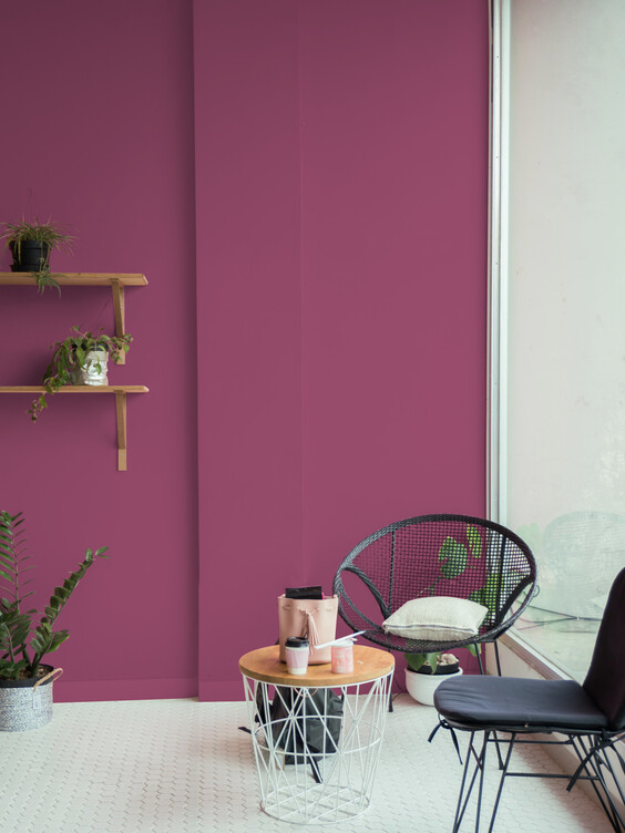 Le style Jungle : une tendance audacieuse et vivante