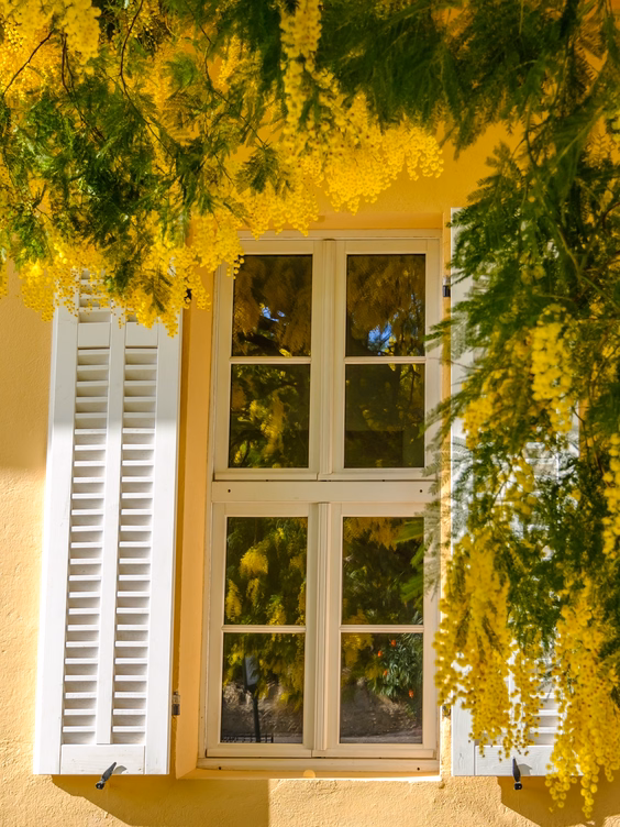 Maison traditionnelle ou champêtre 