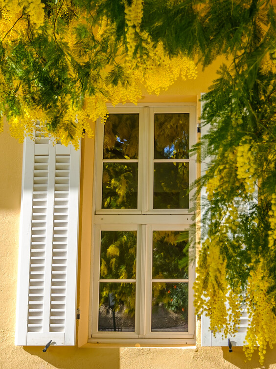 Maison traditionnelle ou champêtre 