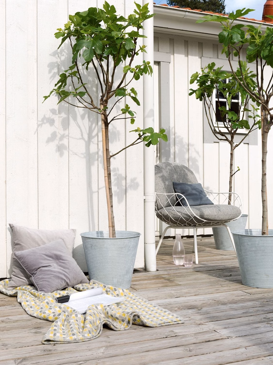 terrace beige