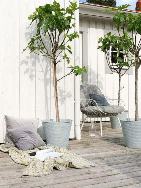 terrace beige