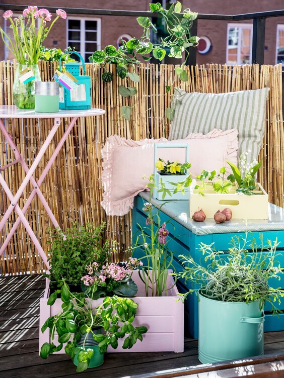 Balcon champêtre ou végétalisé