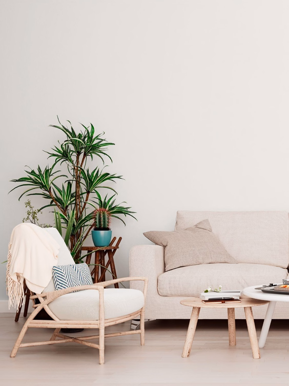 salon beige