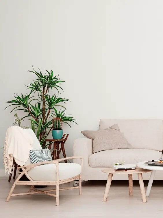 salon beige