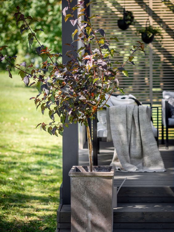 terrace_pergola