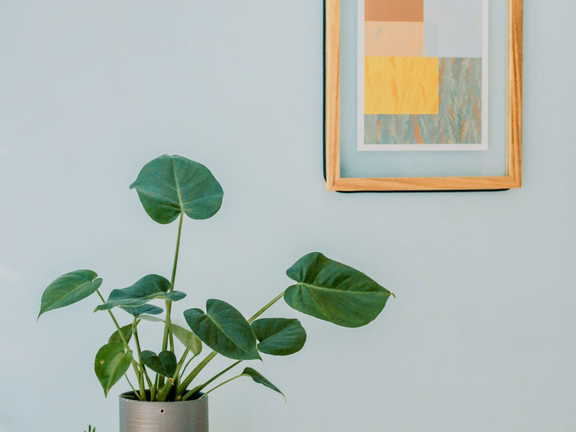 Le style Scandinave