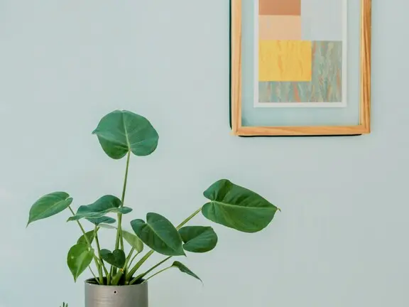Le style Scandinave