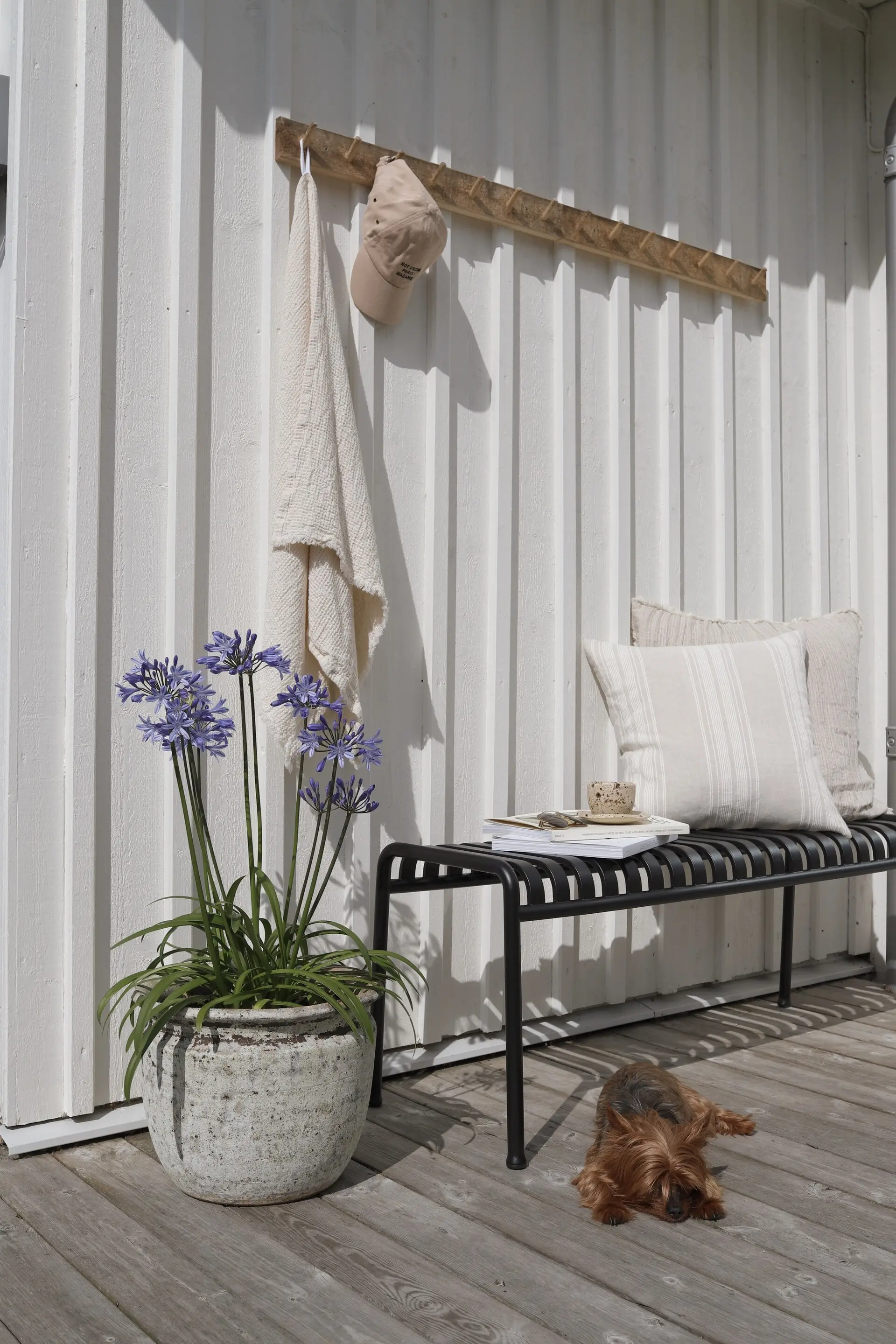 jardin